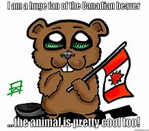 Image result for Canadian Beaver Meme