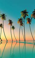 Image result for Cool Palm Tree Wallpaper