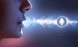Image result for Logo of Voice Detector