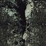 Image result for Grit Texture