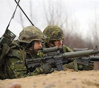 Image result for Canadian Army Rifle