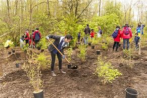 Image result for Community Tree-Planting