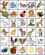 Image result for Animal Memory Matching Card Game