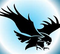 Image result for Flying Eagle Silhouette Vector