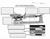 Image result for Triple Beam Balance Worksheet PDF