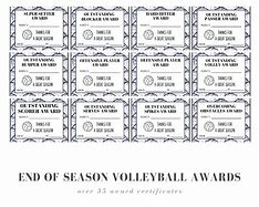 Image result for Funny Volleyball Awards