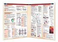 Image result for Cellular Biology Study Aid Charts