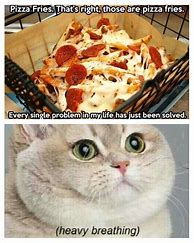 Image result for Breakfast Cat Meme