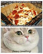 Image result for Cats with Pizza Memes