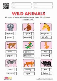 Image result for Wild Animals Worksheet
