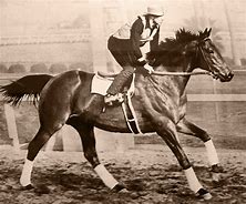 Image result for Sea Biscuit Next to War Admiral