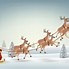 Image result for Santa in Sleigh with Reindeer