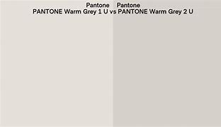 Image result for Pantone Warm Gray 1U