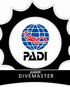 Image result for Divemaster Decal