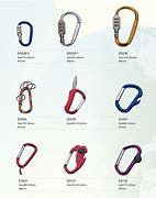 Image result for Carabiner Shapes