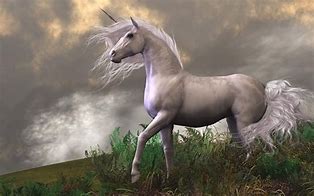 Image result for White Stallion Unicorn