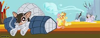 Image result for Armadillo MLP