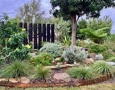 Image result for Aussie Back Yard