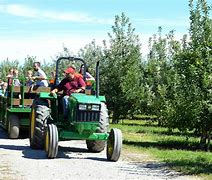 Image result for Tractor Fruit Picking