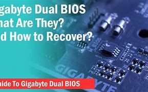 Image result for Do They Still Sell Dual Bios