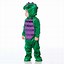 Image result for Baby Dinosaur Costume