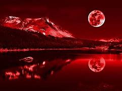 Image result for Red Wallpaper