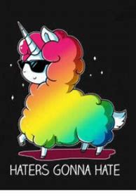 Image result for Hater Unicorn Meme