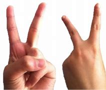 Image result for Roc Nation Logo Hand Gesture