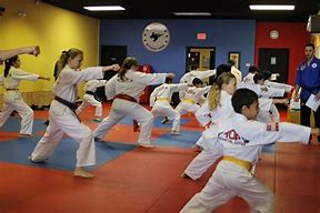 Image result for Mixed Martial Arts Schools