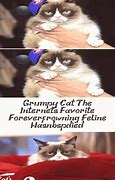 Image result for Grumpy Cat Memes Titanic