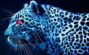 Image result for Cool Cheetah Wallpaper