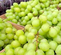 Image result for Types of Seedless Grapes
