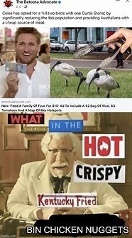 Image result for Ibis Memes