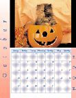 Image result for Gallery Calendars
