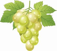 Image result for Grapes Cartoon