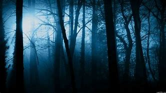 Image result for Evil Dark Scary Forest Wallpaper
