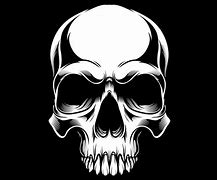 Image result for Skulls Cool Graphic Designs