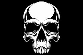Image result for Cool Skull Vector