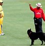 Image result for Funny Cricket Playing Pic
