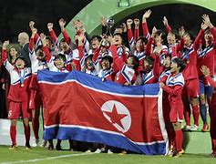 Image result for North Korea World Cup
