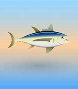 Image result for Alabacore Tuna Clip Art