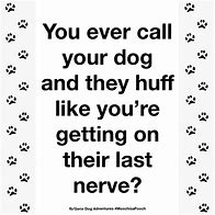 Image result for You Used to Call Me On My Cell Phone Meme Dog