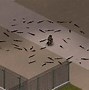 Image result for Pixel Pipe Bombs
