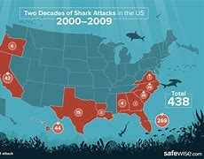 Image result for Greenland Shark Attack