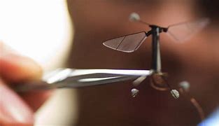 Image result for Smallest Military Drone