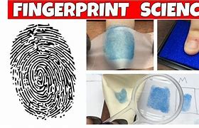Image result for Fingerprint Types for Kids