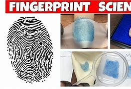 Image result for Types of Fingerprint Patterns for Kids