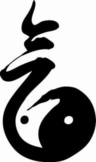 Image result for Qigong Symbol