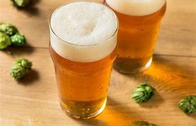 Image result for Best IPA Beers 2023