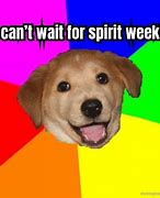 Image result for Ideas for Spirit Week Meme